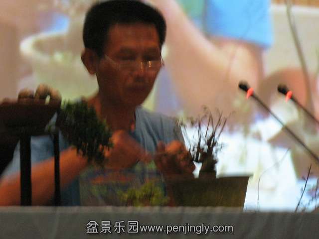 IMG_6911.JPG