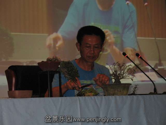 IMG_6903.JPG