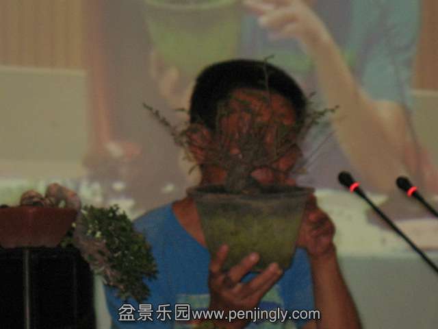 IMG_6897.JPG
