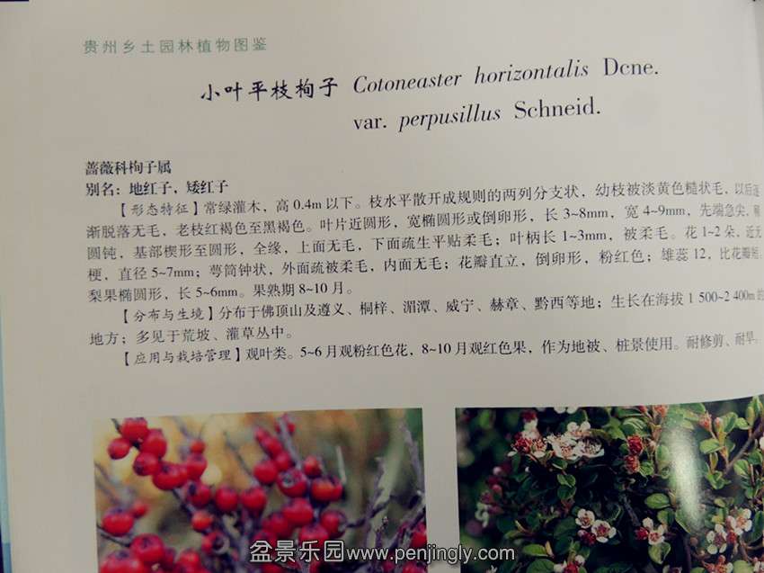 DSCN2090_.jpg