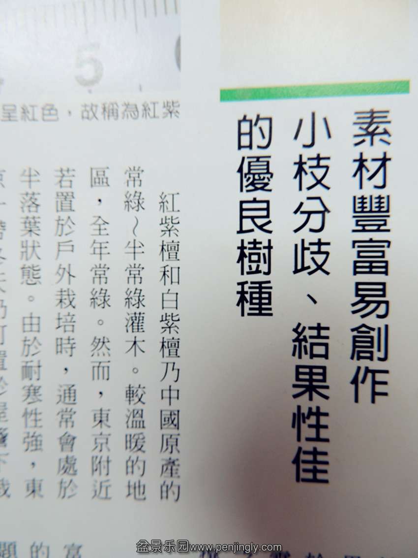 DSCN2052_.jpg