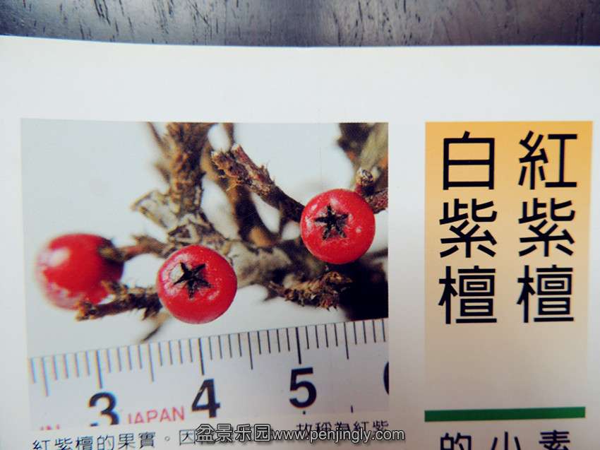 DSCN2048_.jpg