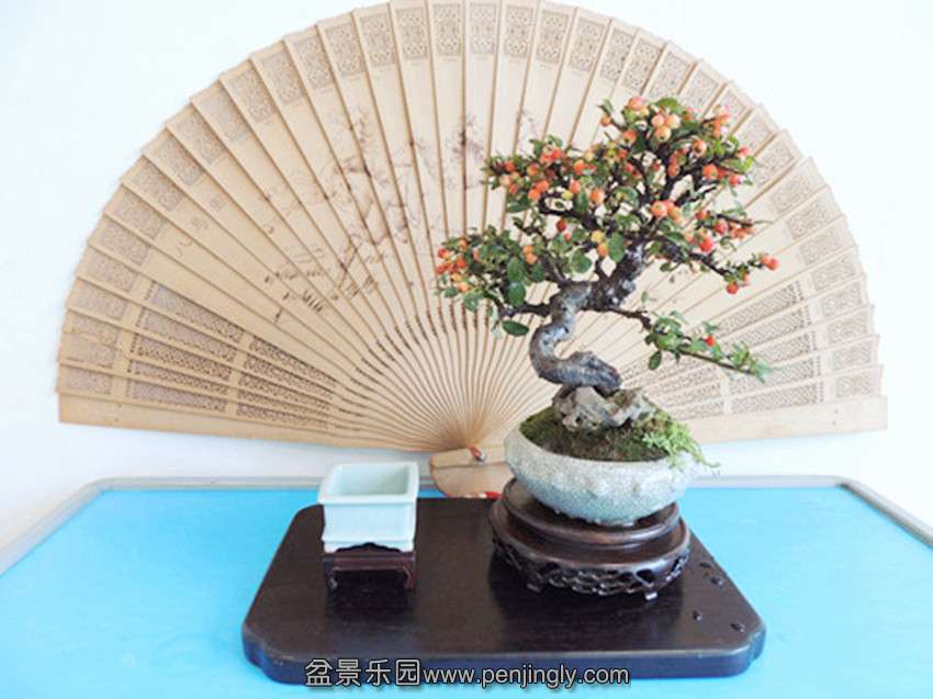 DSCN2055__.jpg