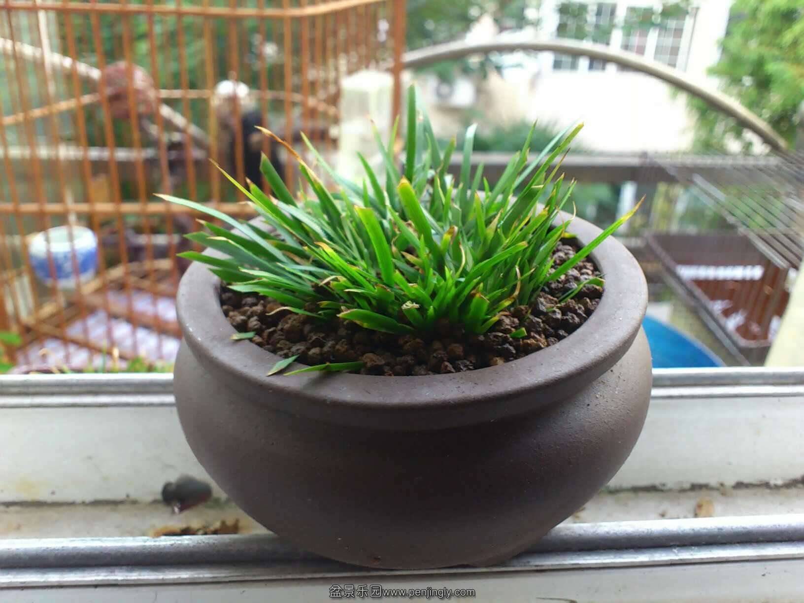 QQͼƬ20130923165622.jpg