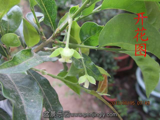 IMG_2007_副本.jpg