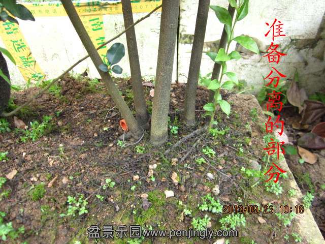 IMG_2259_副本.jpg