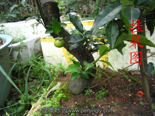 IMG_2260_副本.jpg