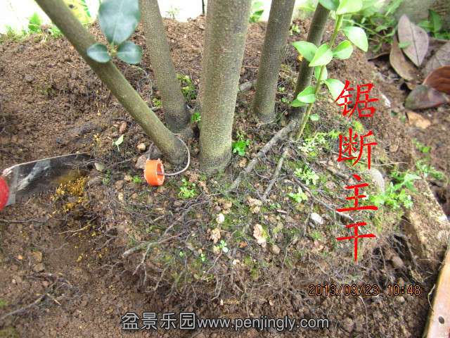 IMG_2263_副本.jpg