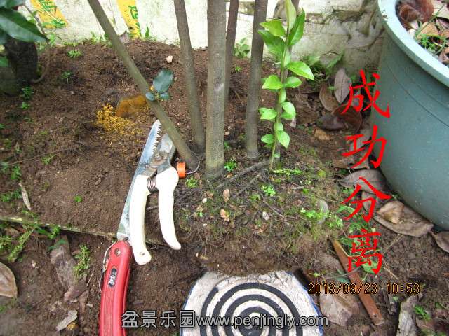 IMG_2265_副本.jpg