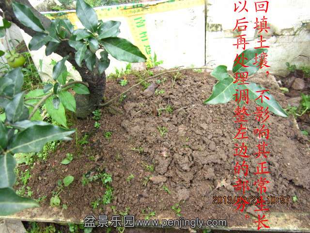 IMG_2266_副本.jpg