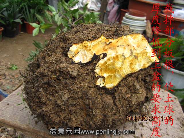 IMG_2267_副本.jpg