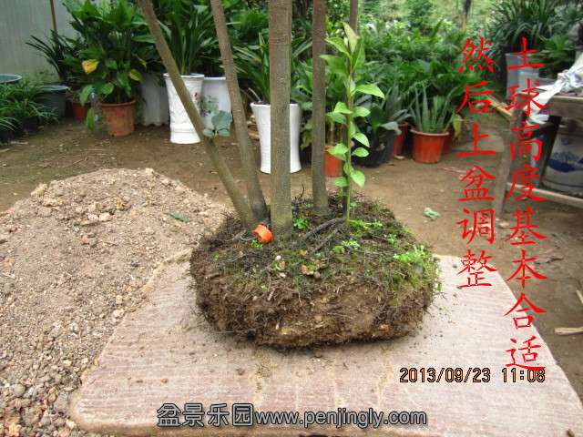 IMG_2268_副本.jpg