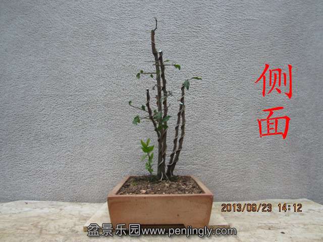 IMG_2271_副本.jpg