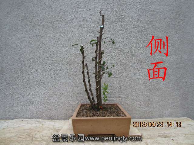 IMG_2272_副本.jpg