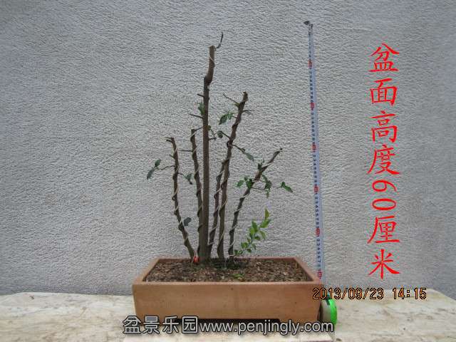 IMG_2275_副本.jpg