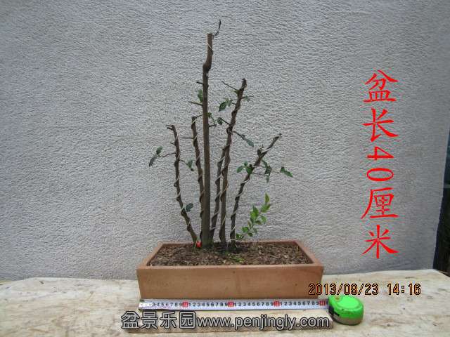 IMG_2276_副本.jpg