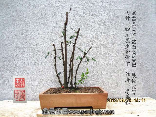 IMG_2269_副本.jpg