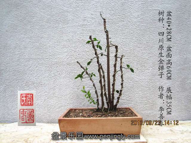 IMG_2270_副本.jpg