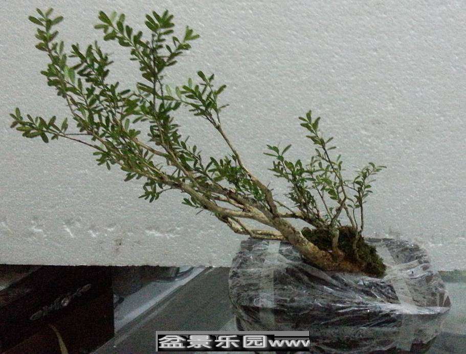 20130909_164721_副本.jpg