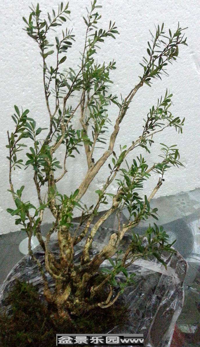 20130909_165123_副本.jpg