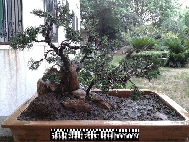 正面