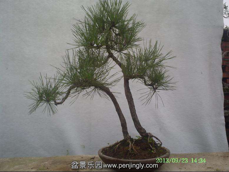 PICT0009.JPG