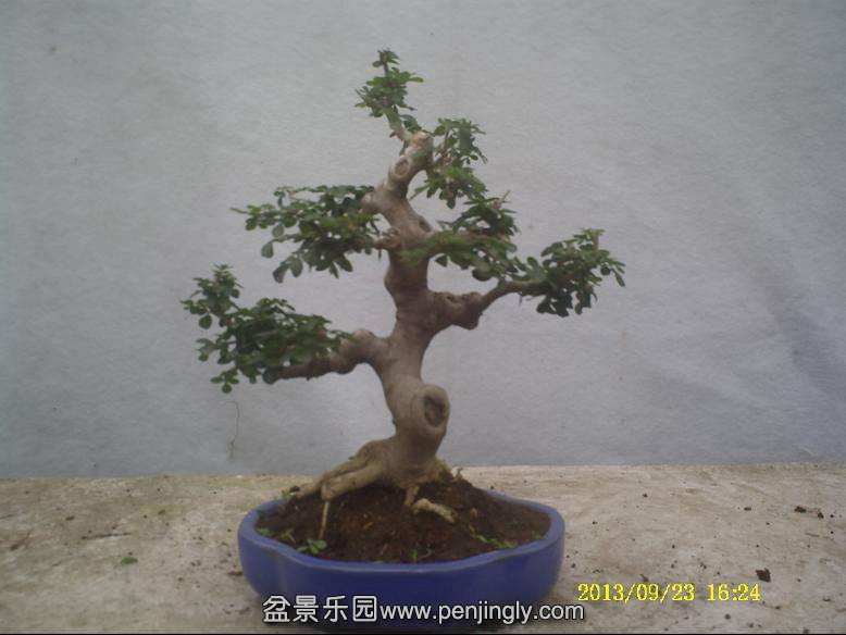 PICT0088.JPG