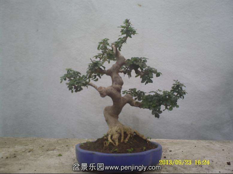 PICT0089.JPG