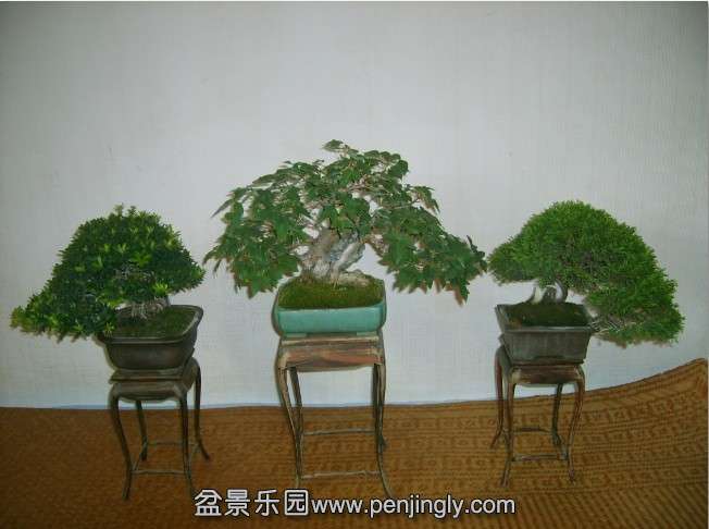 QQͼƬ20130930214248.jpg