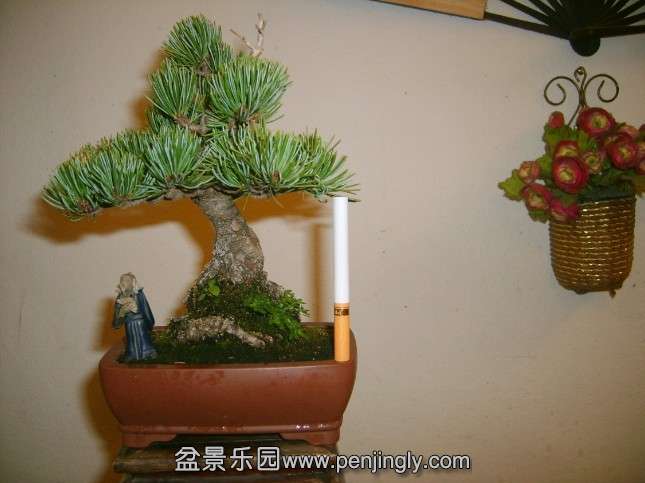 QQͼƬ20130930214432.jpg