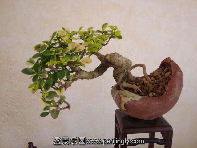 DSC05730.JPG