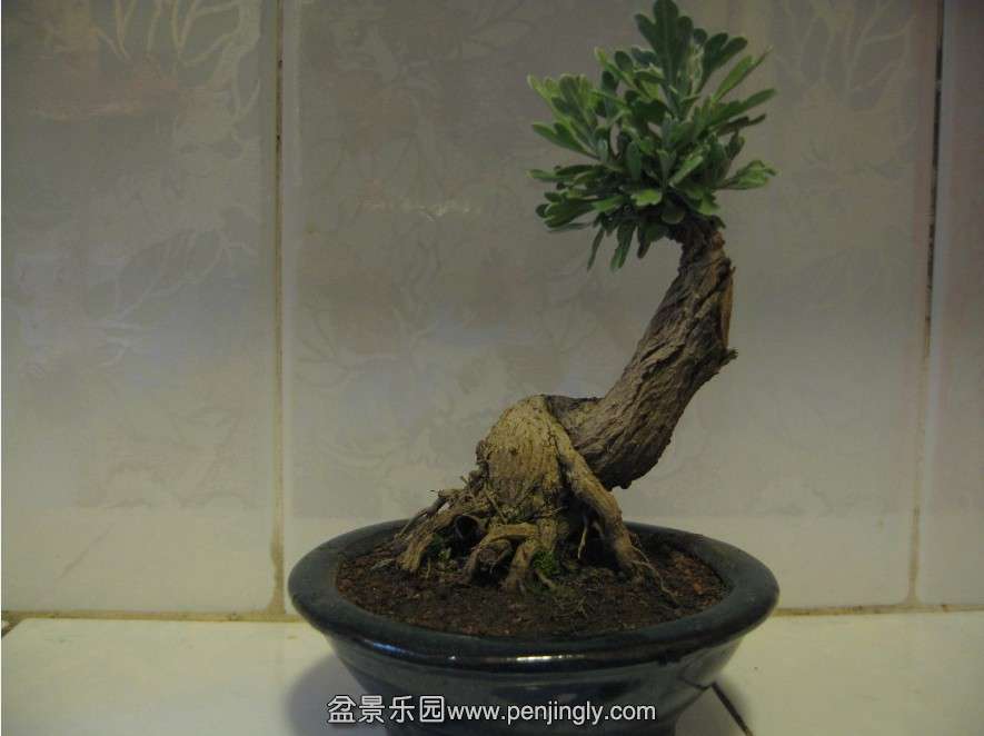 QQ图片20131001155727.jpg