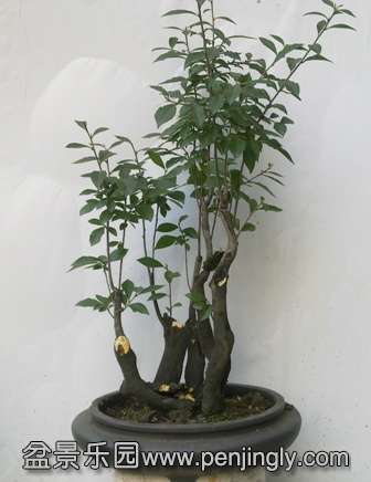 201310011147.jpg