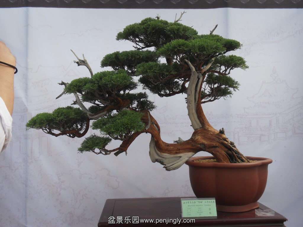  SDC17786.JPG