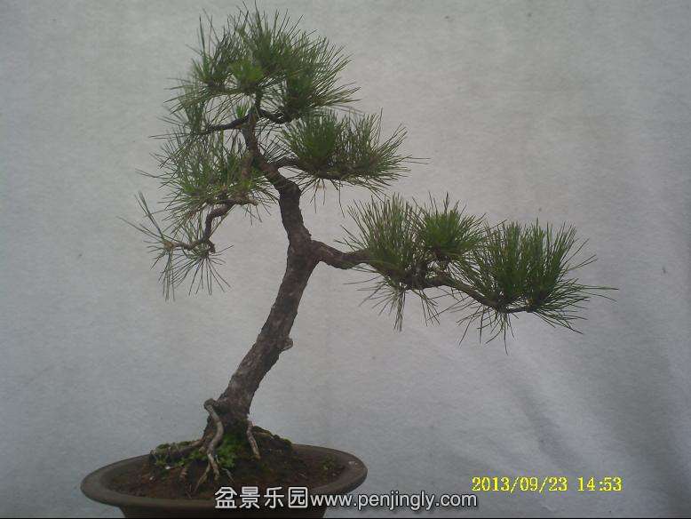 PICT0029.JPG