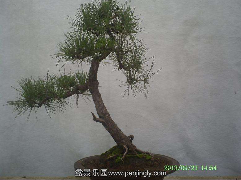 PICT0030.JPG