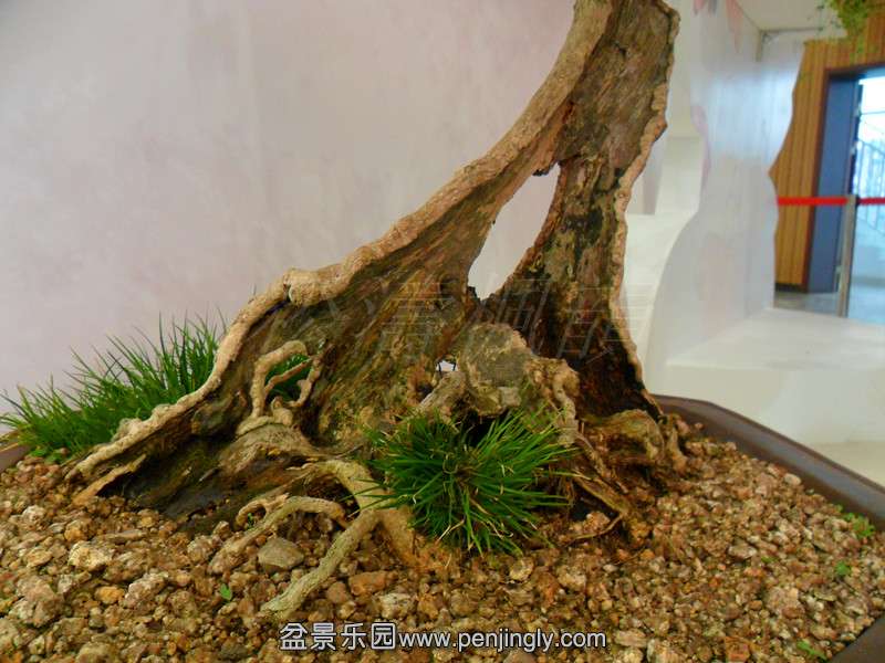 SAM_0551_.jpg