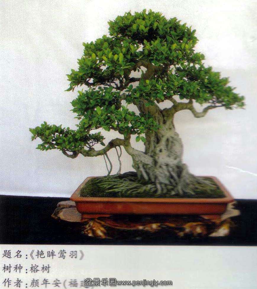 8̫չ-갲-.jpg