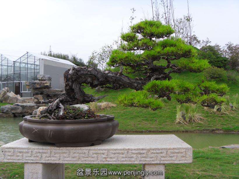 SDC12759.JPG