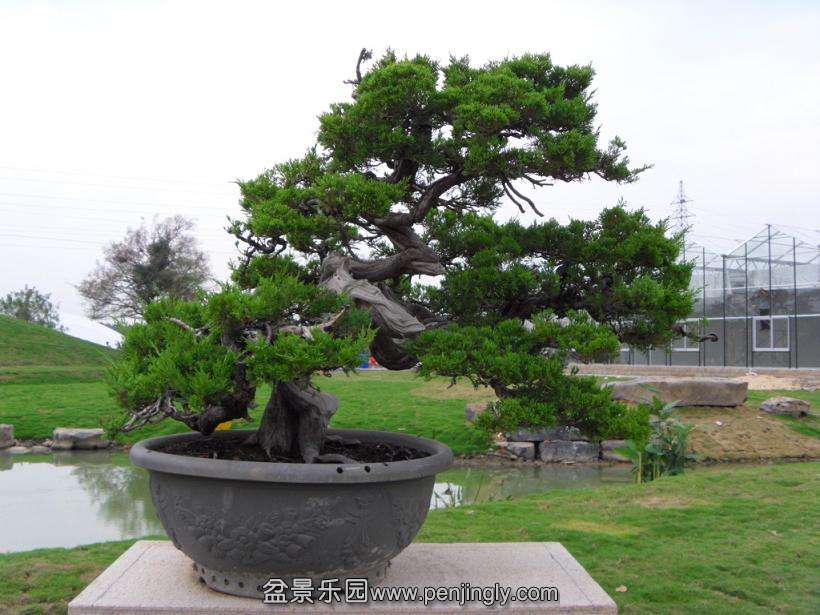 SDC12761.JPG