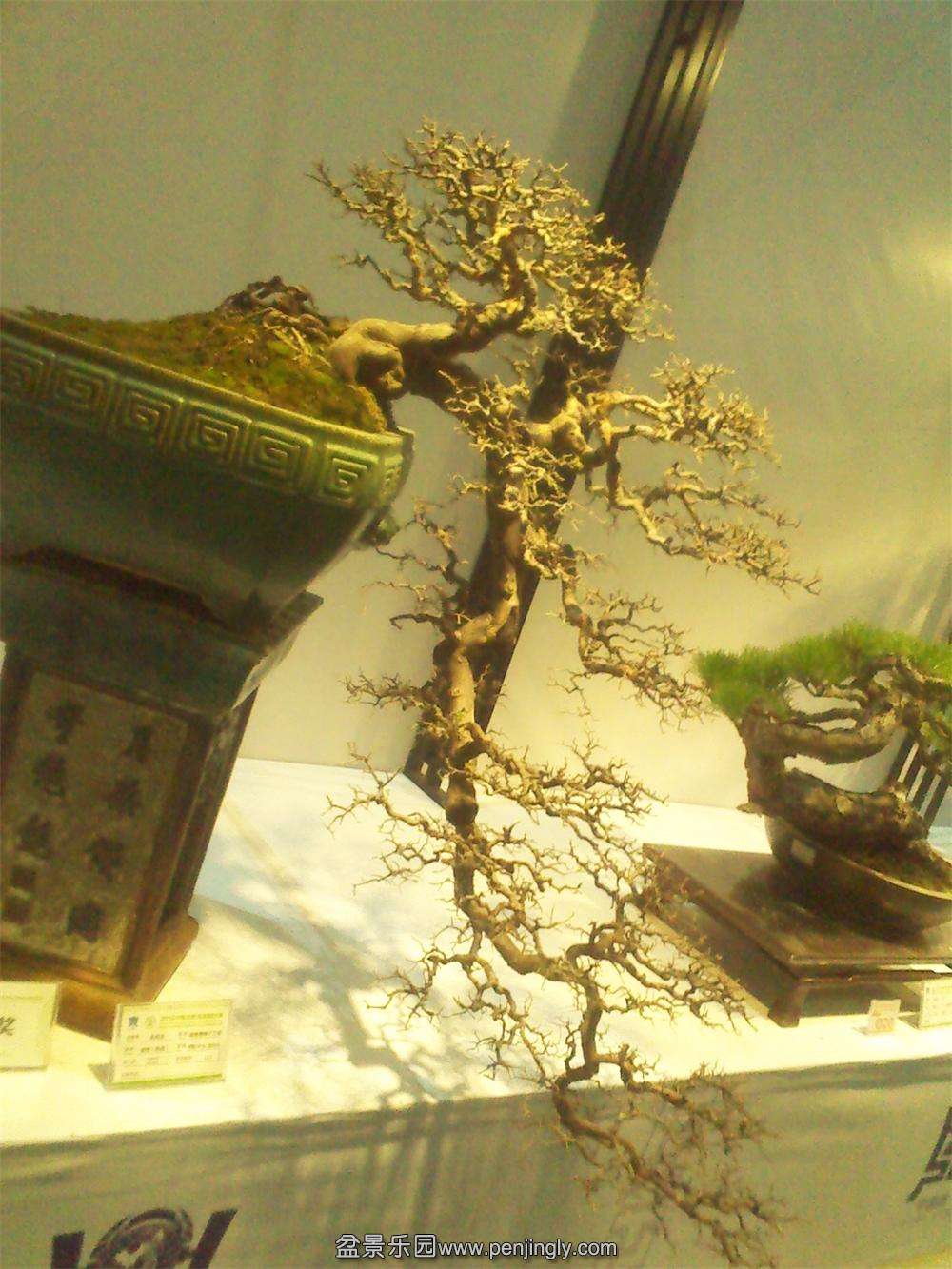 IMG_20131002_121033.jpg