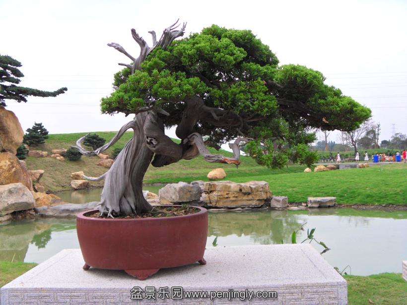 SDC12767.JPG