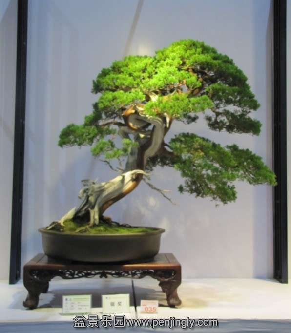 QQͼƬ20131003190217.jpg