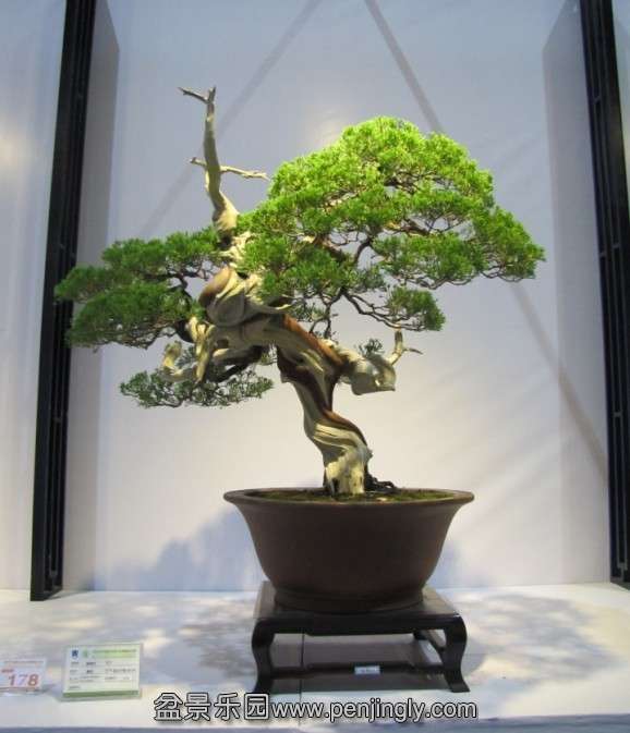 QQͼƬ20131003190324.jpg