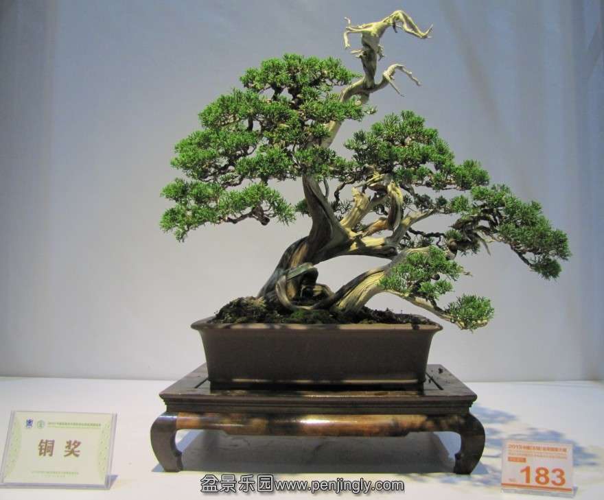 QQͼƬ20131003190351.jpg