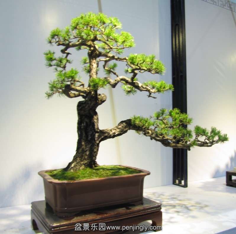 QQͼƬ20131003190734.jpg