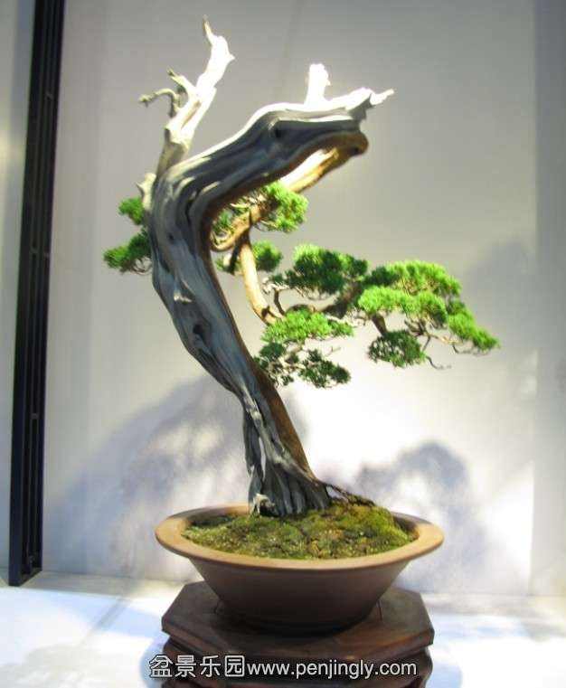 QQͼƬ20131003190837.jpg