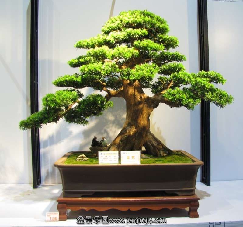 QQͼƬ20131003190858.jpg