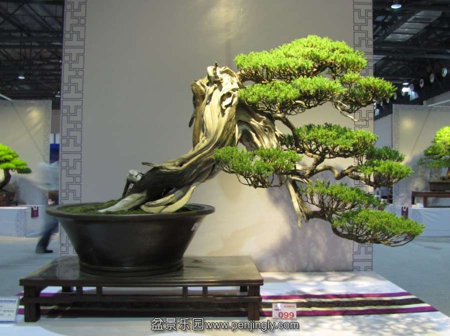 QQͼƬ20131003190923.jpg