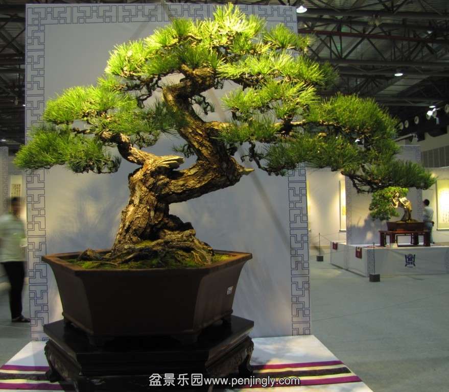 QQͼƬ20131003191008.jpg